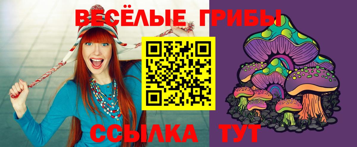 Галлюциногенные грибы Psilocybe Прокопьевск
