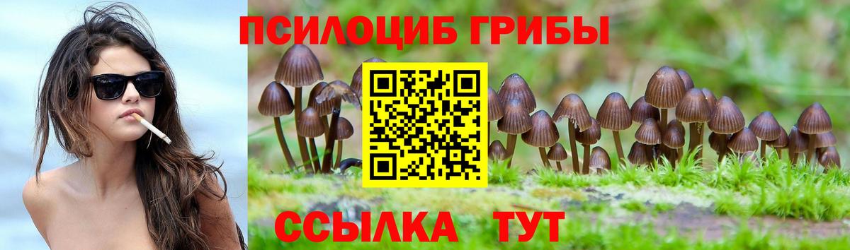 Прокопьевск  Псилоцибиновые грибы Psilocybe  Вход с VPN 